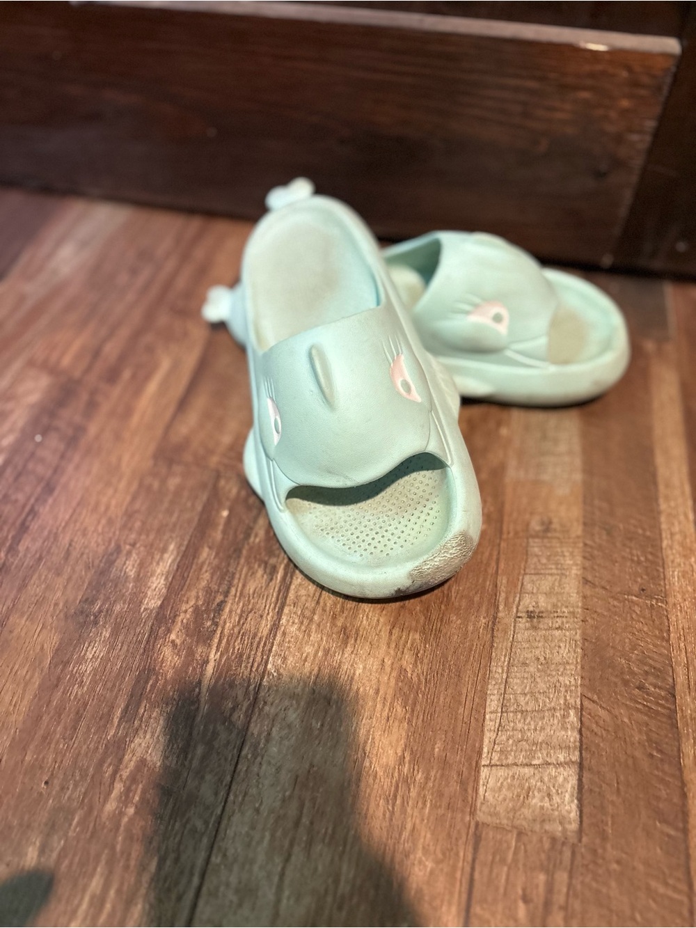 Shark sandals